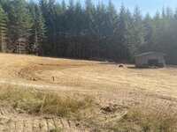 IMG_1162.jpeg