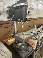 IMG_2214.jpeg