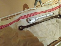 IMG_20230921_113206.jpg