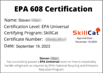 skillcat cert blurred.png skillcat cert blurred.png
