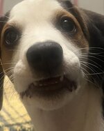 IMG_2504.jpeg