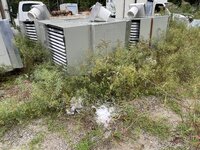 IMG_5898.jpeg IMG_5898.jpeg