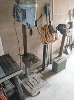 IMG_0252.jpeg