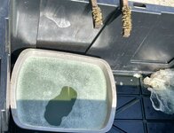 IMG_8200.jpeg