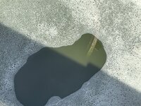 IMG_8201.jpeg