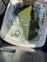 IMG_8208.jpeg