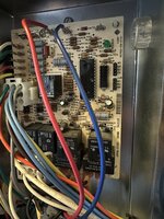 IMG_4546.jpeg