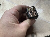 IMG_7287.jpeg