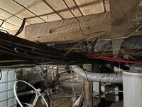 IMG_5934.jpeg