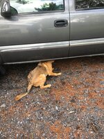 IMG_0061.jpeg