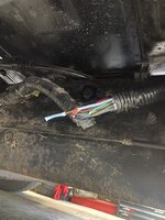 IMG_1184.jpeg