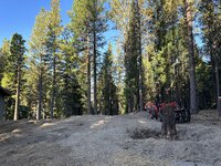 IMG_3565.jpeg IMG_3565.jpeg