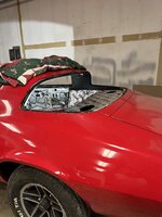 IMG_7352.jpeg