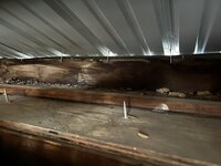 IMG_1681.jpeg