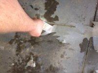 peeling2.jpg