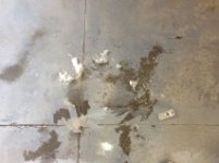 peeling1.jpg