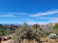 53229162315_8c081c41e4_b.jpg