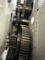 IMG_7894.jpeg IMG_7894.jpeg
