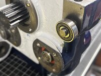 IMG_8020.jpeg