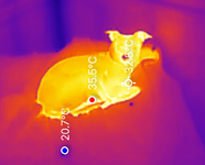 Kermit-IR.png Kermit-IR.png
