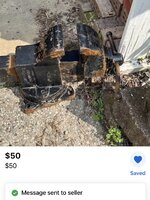 IMG_2409.jpeg