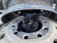 IMG_6004.jpeg