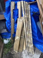 IMG_9716.jpeg IMG_9716.jpeg