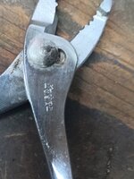 IMG_20231008_201631_726.jpg
