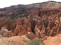 IMG_4426.JPG