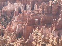 IMG_4447.JPG