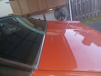 20231009_185811.jpg