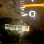 IMG_6100.jpeg