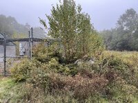 IMG_6105.jpeg