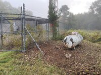 IMG_6106.jpeg