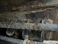 IMG_6126.jpeg