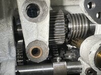 IMG_8555.jpeg