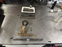 IMG_8589.jpeg