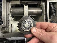 IMG_8590.jpeg