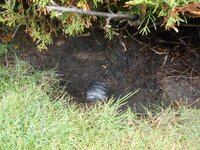 north drail outlet 101223.jpg