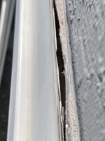 IMG_2275.jpeg