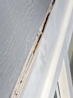 IMG_2271.jpeg