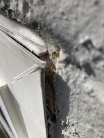 IMG_2274.jpeg