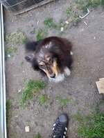 20230822_180322.jpg