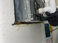 IMG_2869.jpeg