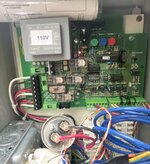IMG_2029.jpeg