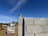 IMG_1180.jpeg