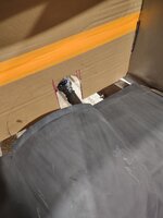 IMG_20231013_150424986.jpg