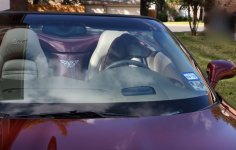 Layla Backing Car 2.jpg