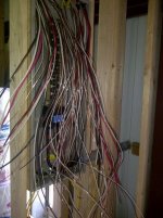 wire nest 1.jpg
