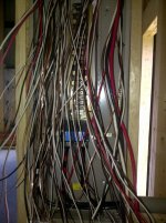 wire nest 2.jpg